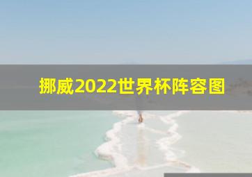 挪威2022世界杯阵容图