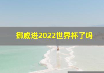 挪威进2022世界杯了吗