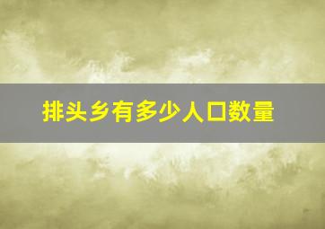 排头乡有多少人口数量