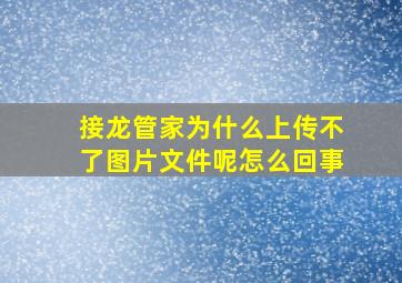 接龙管家为什么上传不了图片文件呢怎么回事