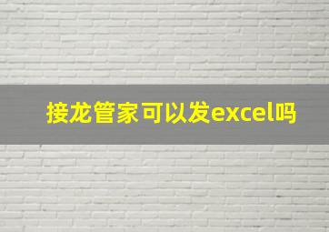 接龙管家可以发excel吗