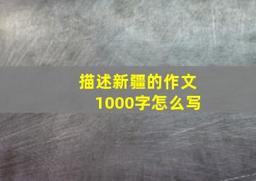 描述新疆的作文1000字怎么写