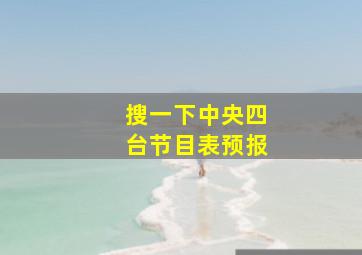 搜一下中央四台节目表预报