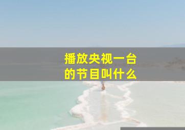 播放央视一台的节目叫什么