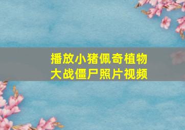 播放小猪佩奇植物大战僵尸照片视频