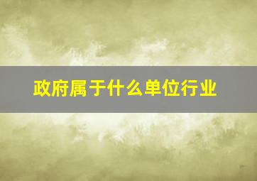 政府属于什么单位行业