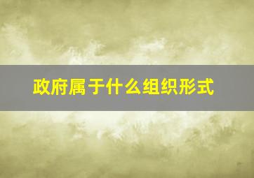 政府属于什么组织形式