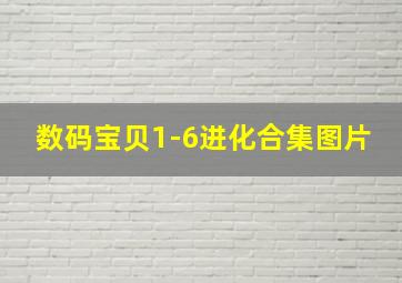 数码宝贝1-6进化合集图片