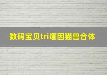 数码宝贝tri缅因猫兽合体