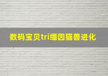 数码宝贝tri缅因猫兽进化