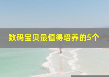 数码宝贝最值得培养的5个