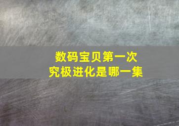 数码宝贝第一次究极进化是哪一集