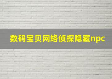 数码宝贝网络侦探隐藏npc