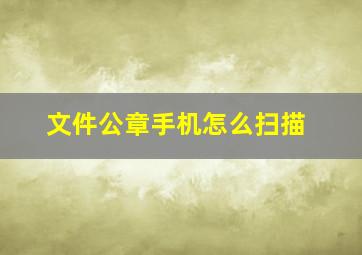 文件公章手机怎么扫描