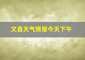 文县天气预报今天下午