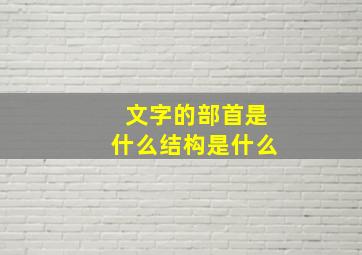 文字的部首是什么结构是什么