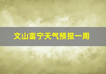 文山富宁天气预报一周