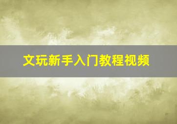 文玩新手入门教程视频