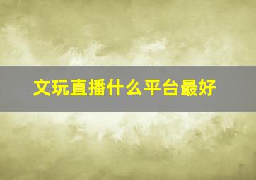 文玩直播什么平台最好