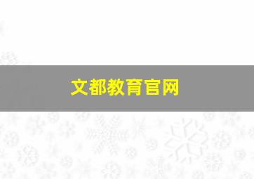 文都教育官网