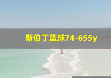 斯伯丁篮球74-655y