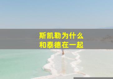 斯凯勒为什么和泰德在一起