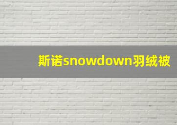 斯诺snowdown羽绒被