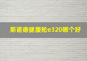 斯诺德健腹轮e320哪个好