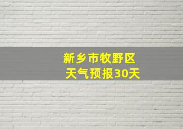 新乡市牧野区天气预报30天