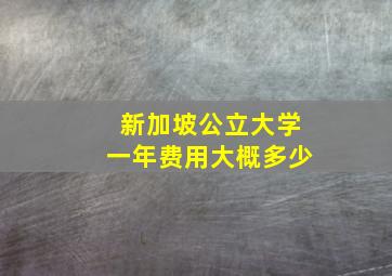 新加坡公立大学一年费用大概多少