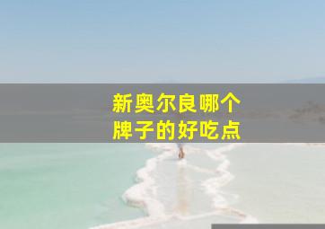 新奥尔良哪个牌子的好吃点