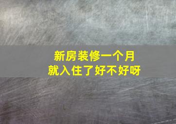 新房装修一个月就入住了好不好呀