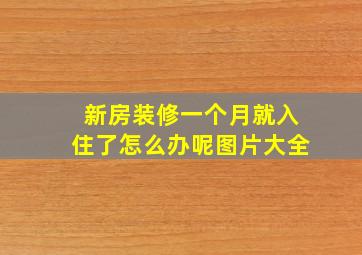 新房装修一个月就入住了怎么办呢图片大全