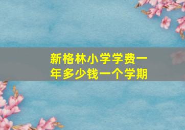 新格林小学学费一年多少钱一个学期