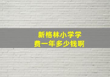 新格林小学学费一年多少钱啊