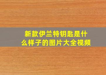 新款伊兰特钥匙是什么样子的图片大全视频