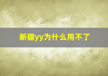 新疆yy为什么用不了