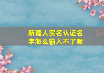 新疆人实名认证名字怎么输入不了呢