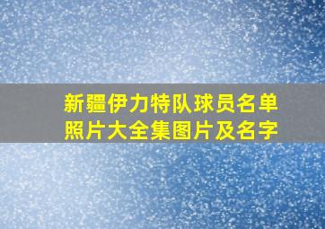 新疆伊力特队球员名单照片大全集图片及名字