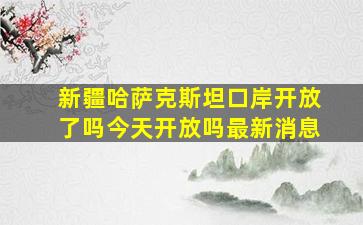 新疆哈萨克斯坦口岸开放了吗今天开放吗最新消息