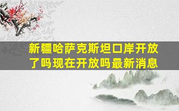 新疆哈萨克斯坦口岸开放了吗现在开放吗最新消息