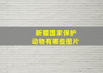 新疆国家保护动物有哪些图片