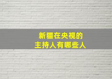 新疆在央视的主持人有哪些人