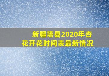 新疆塔县2020年杏花开花时间表最新情况