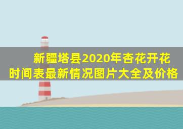 新疆塔县2020年杏花开花时间表最新情况图片大全及价格