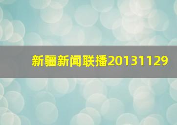 新疆新闻联播20131129