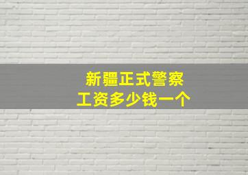 新疆正式警察工资多少钱一个