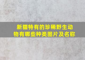 新疆特有的珍稀野生动物有哪些种类图片及名称