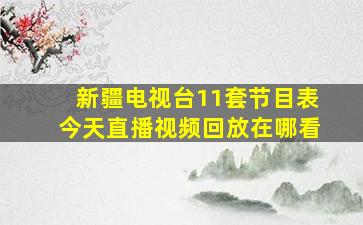 新疆电视台11套节目表今天直播视频回放在哪看