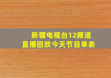 新疆电视台12频道直播回放今天节目单表